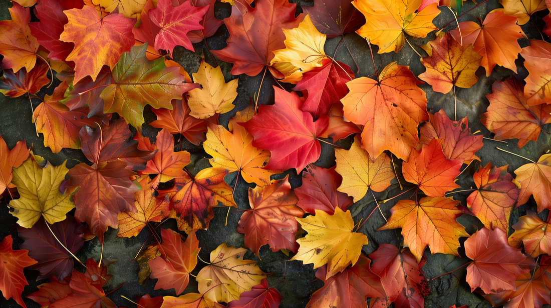 Zo maak je je tuin herfstklaar