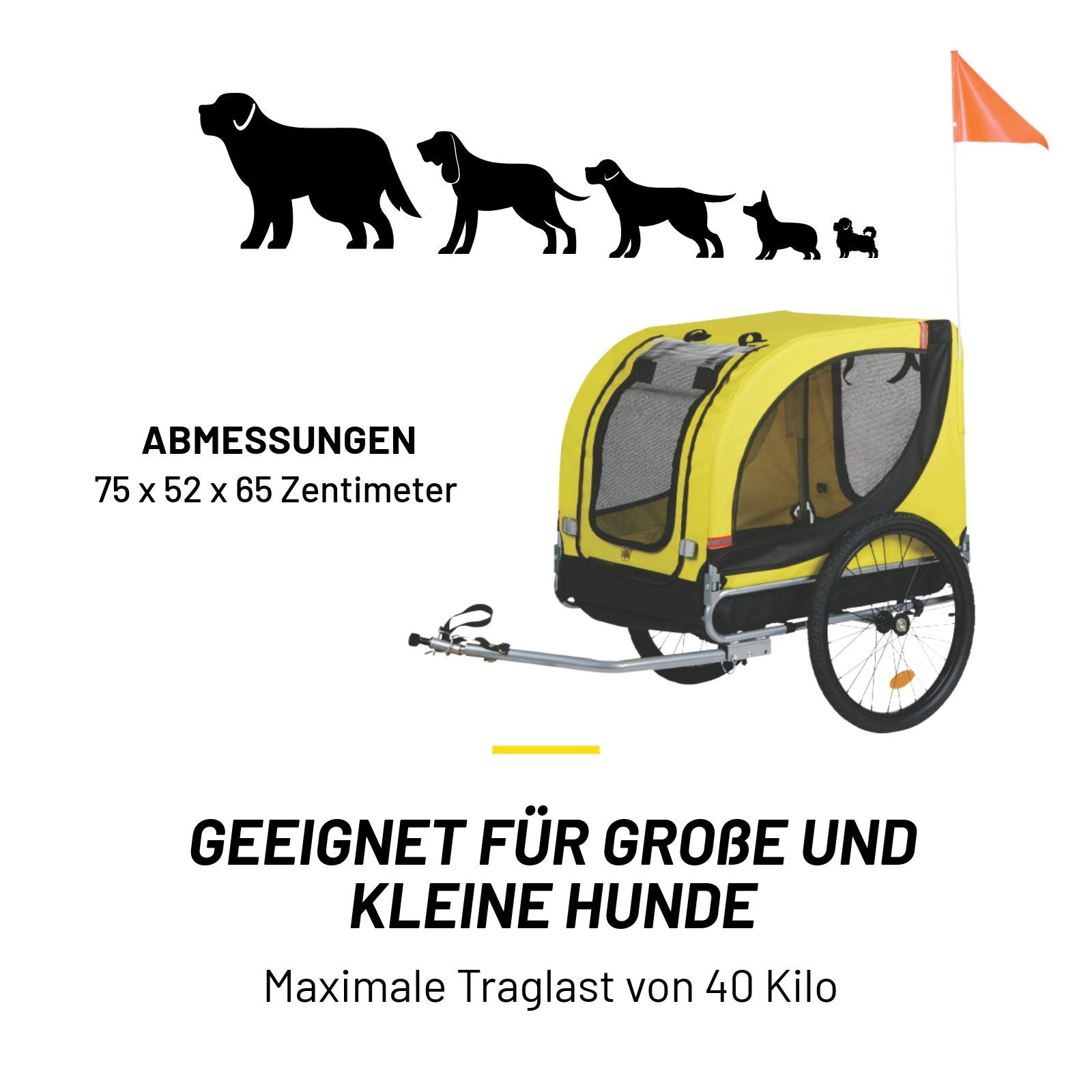 Pet Bike Carrier