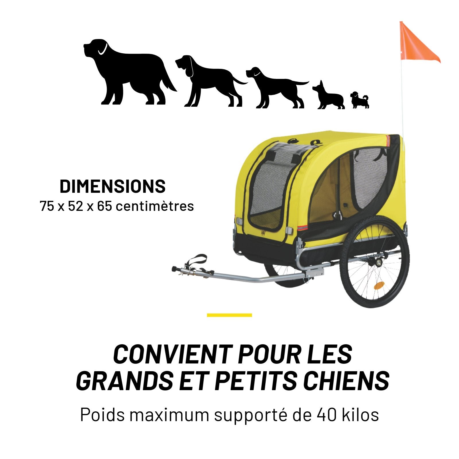 Pet Bike Carrier