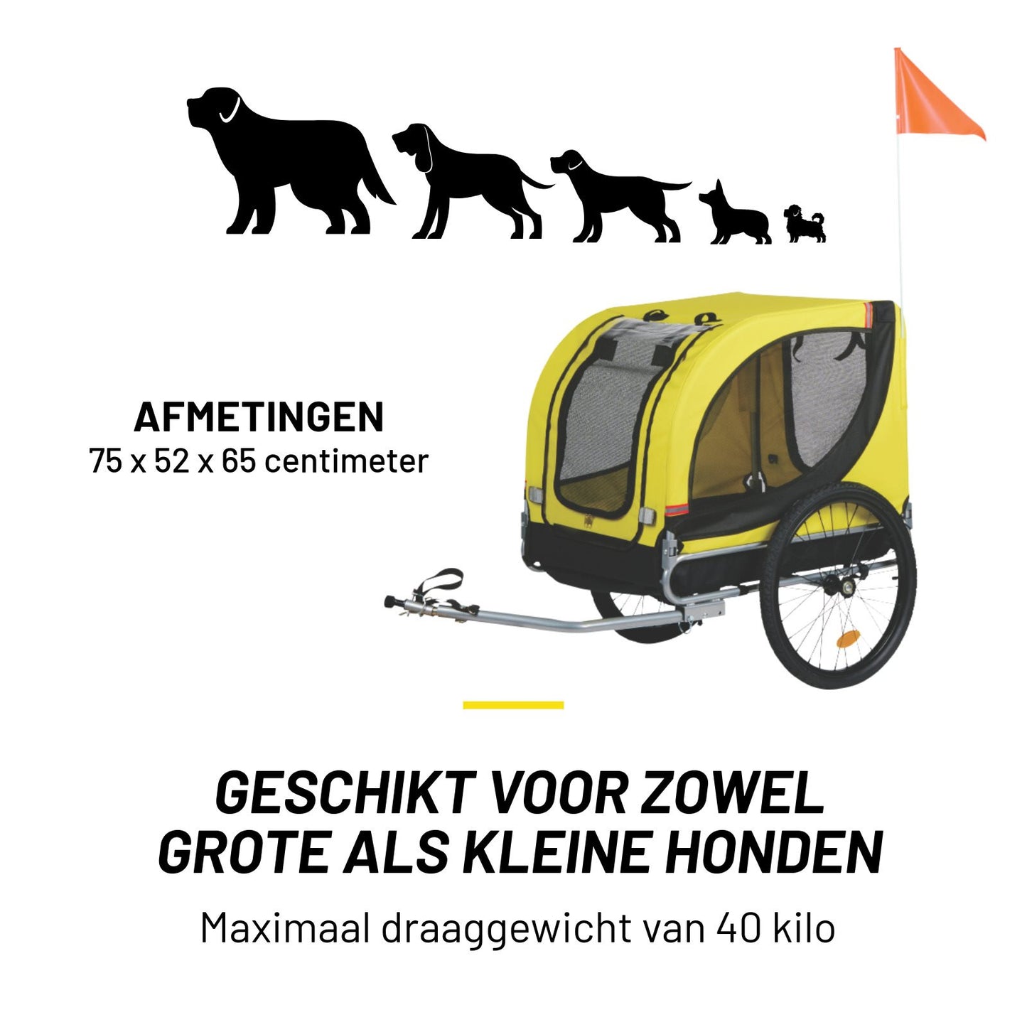 Pet Bike Carrier